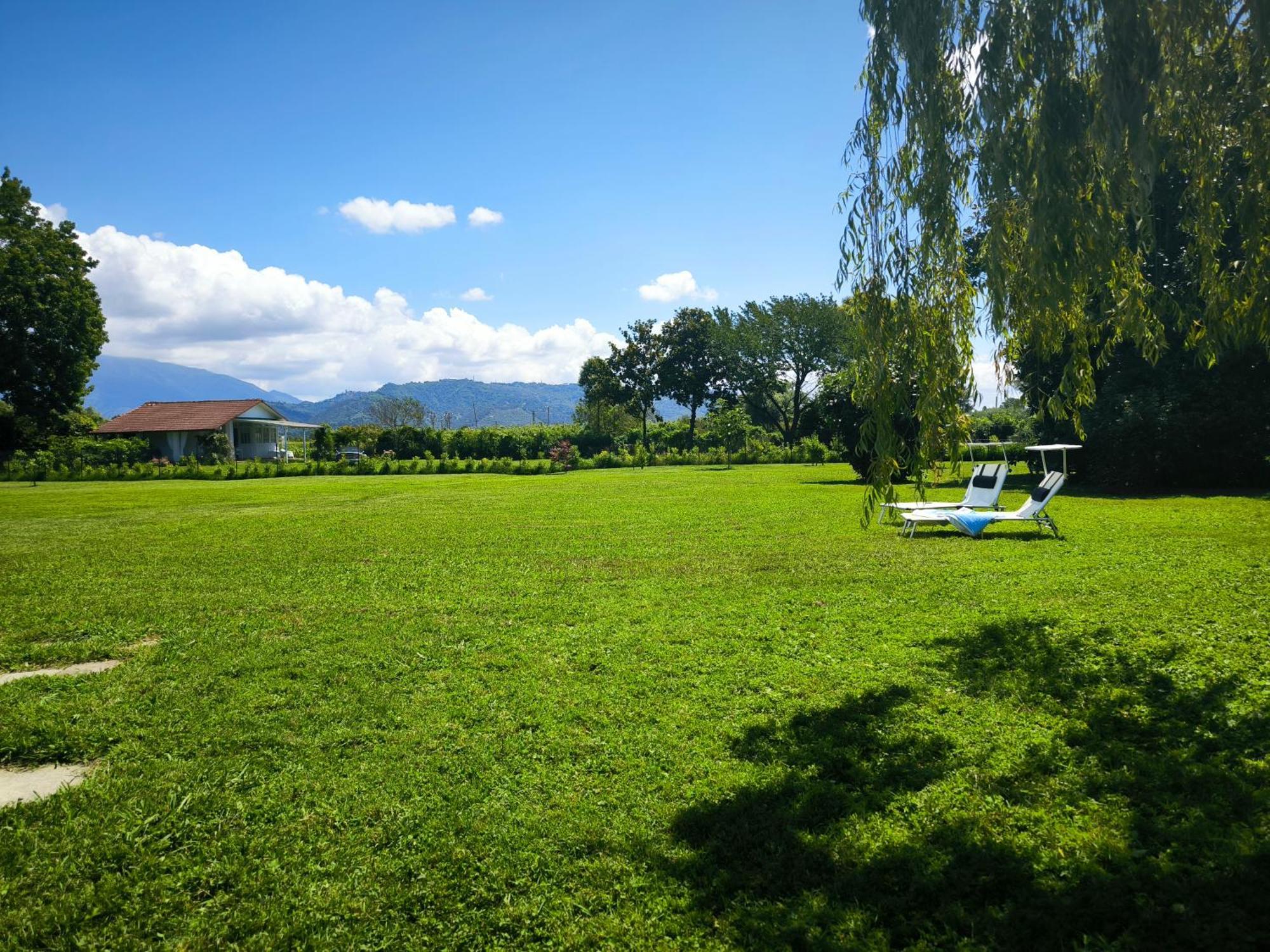 Versilia - Pietrasanta - Le Colmate Guesthouse 톤파노 외부 사진
