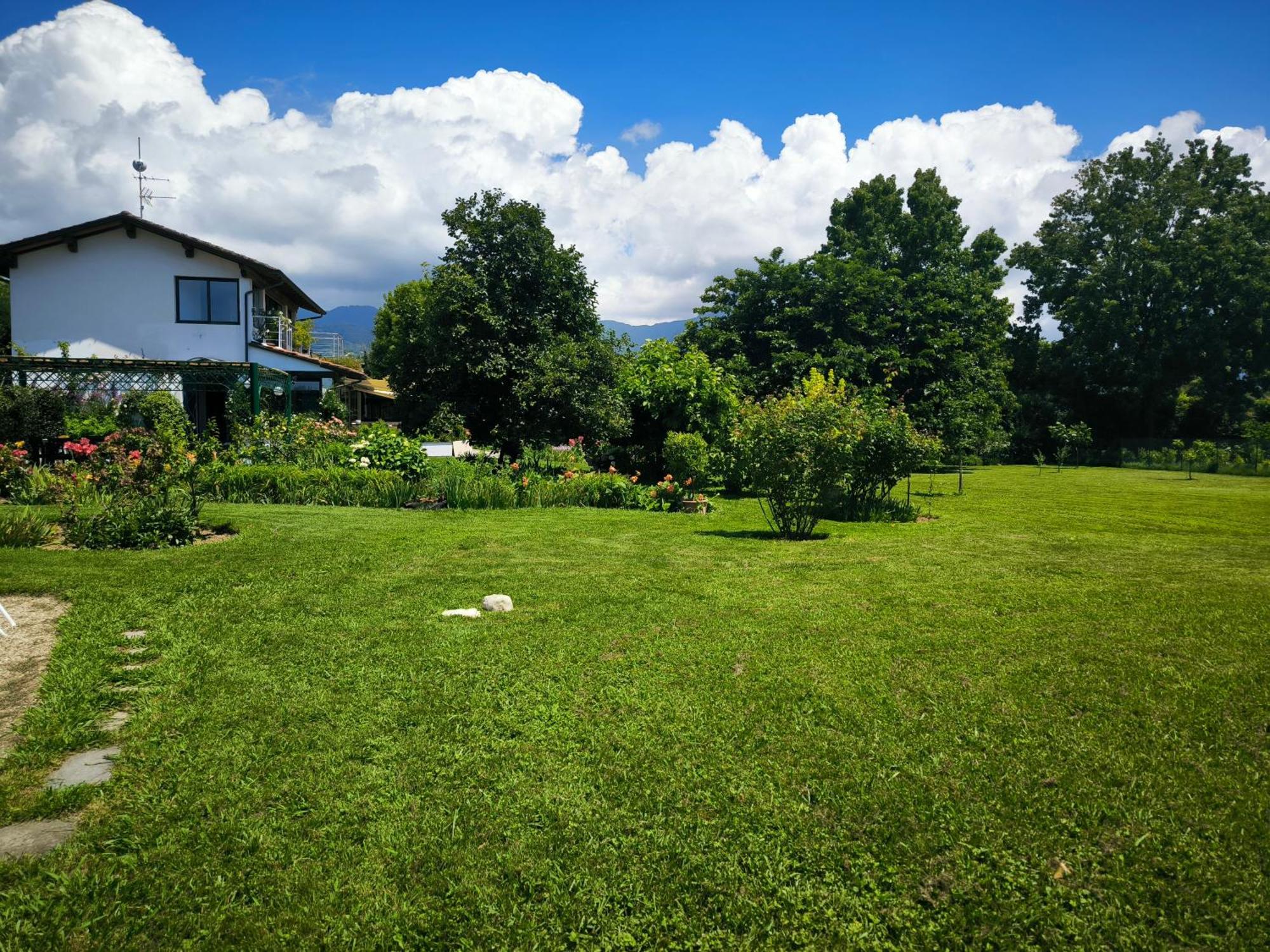 Versilia - Pietrasanta - Le Colmate Guesthouse 톤파노 외부 사진