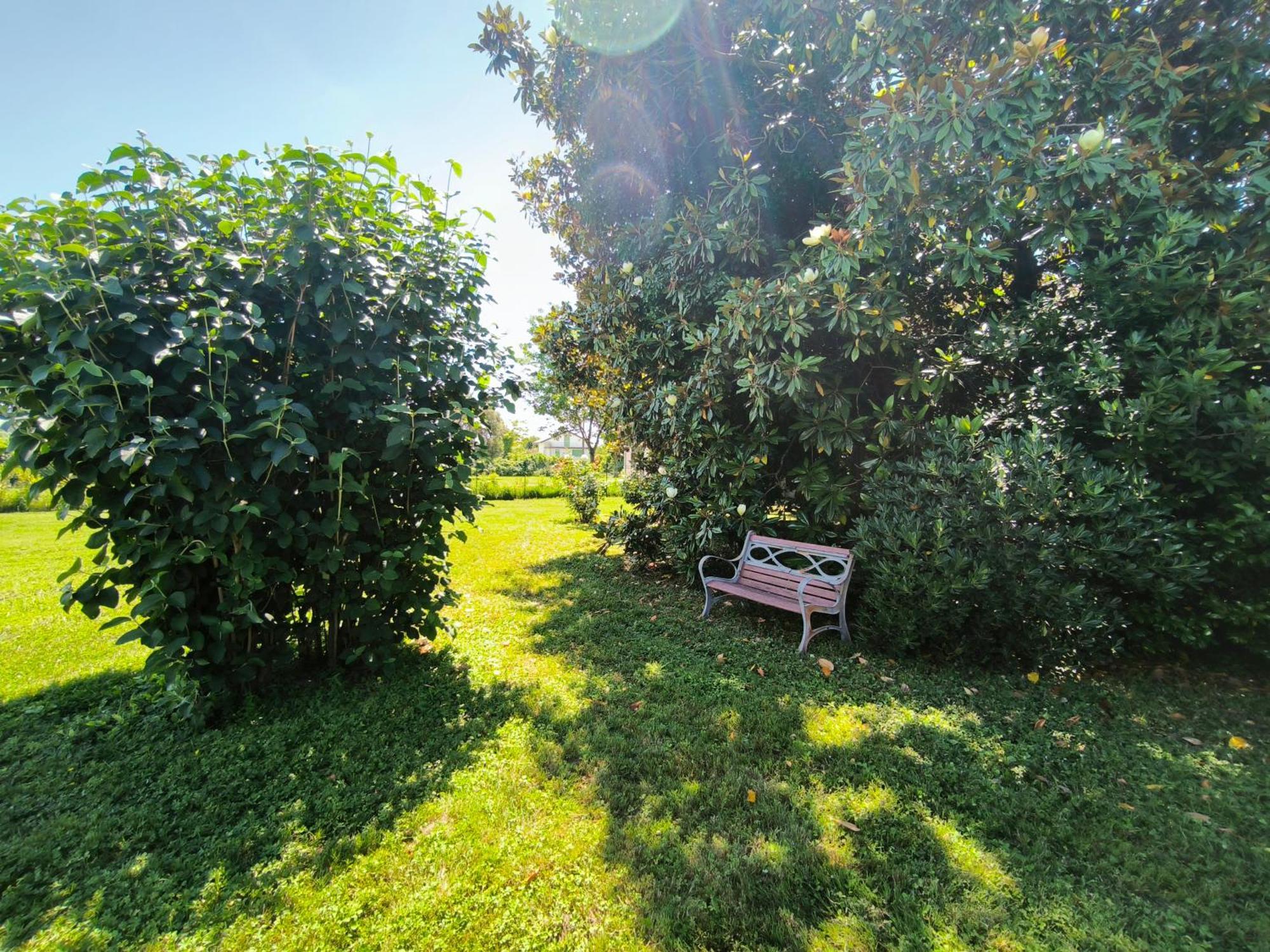 Versilia - Pietrasanta - Le Colmate Guesthouse 톤파노 외부 사진