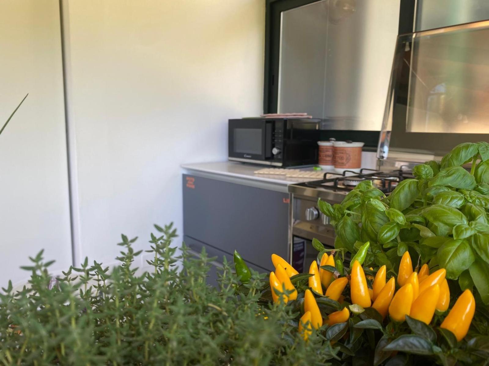 Versilia - Pietrasanta - Le Colmate Guesthouse 톤파노 외부 사진